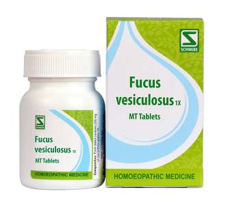 Willmar Schwabe India Fucus Vesiculosus 1X Tablets (20g)